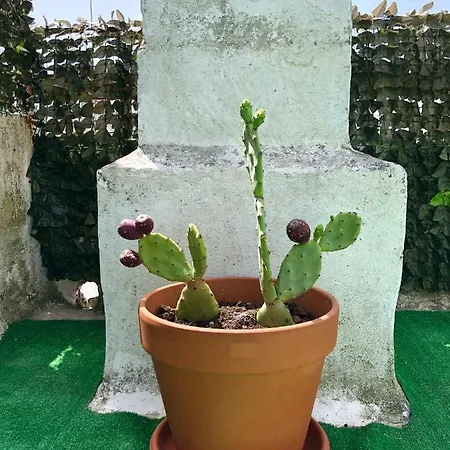 Apartmán Duca Primo Alessano